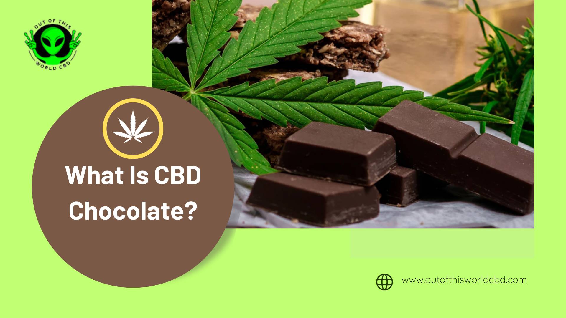 What Is CBD Chocolate?